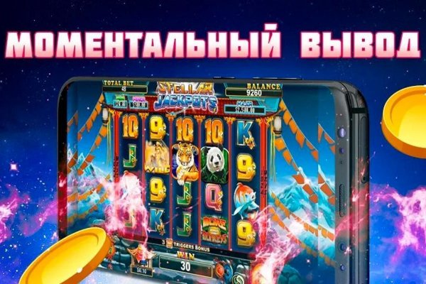 Kraken найдется все