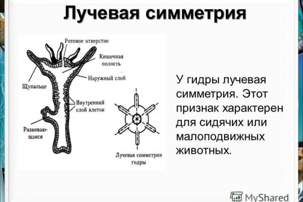 Как зайти на кракен через айфон
